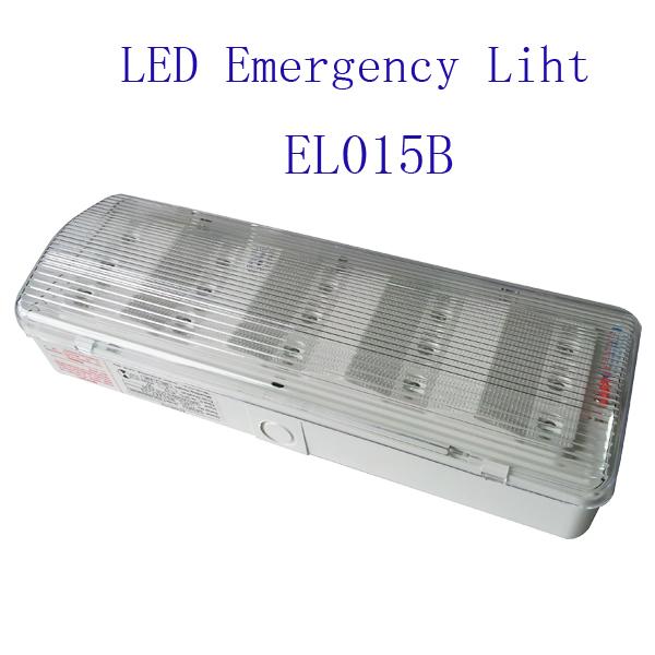 220V는 가동 3 시간 녹색 도주 스티커, 세륨 기준을 가진 비상구 표시를 지도했습니다