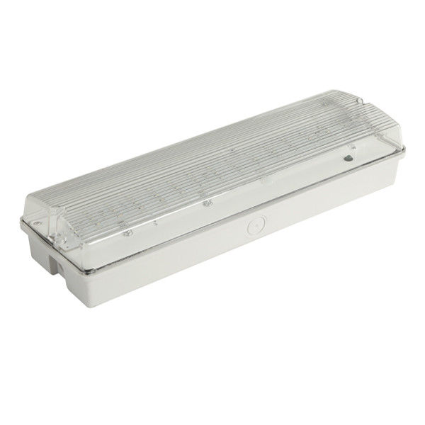 맞춤형 벽 표면 설치 방수 비상 조명 IP65 SMD 습기 위치 야외 EL060AN