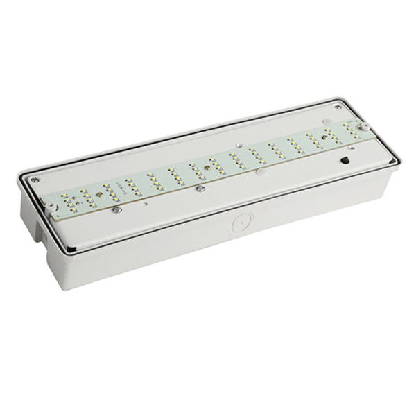 맞춤형 벽 표면 설치 방수 비상 조명 IP65 SMD 습기 위치 야외 EL060AN