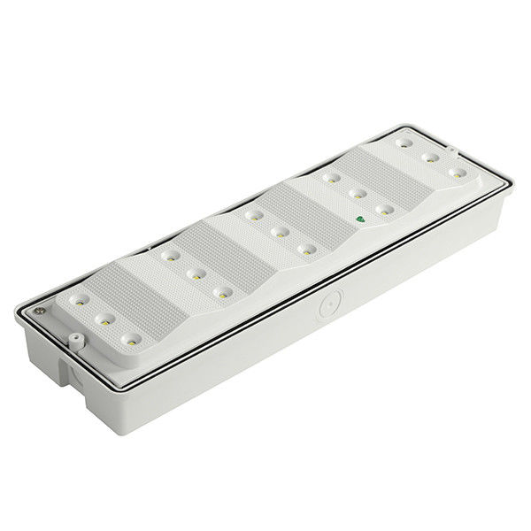 110V 220V SMD 2835 화이트 LED 표면 장착 날씨 방지 비상 조명 PC 디퓨저 IP65 EL015EM