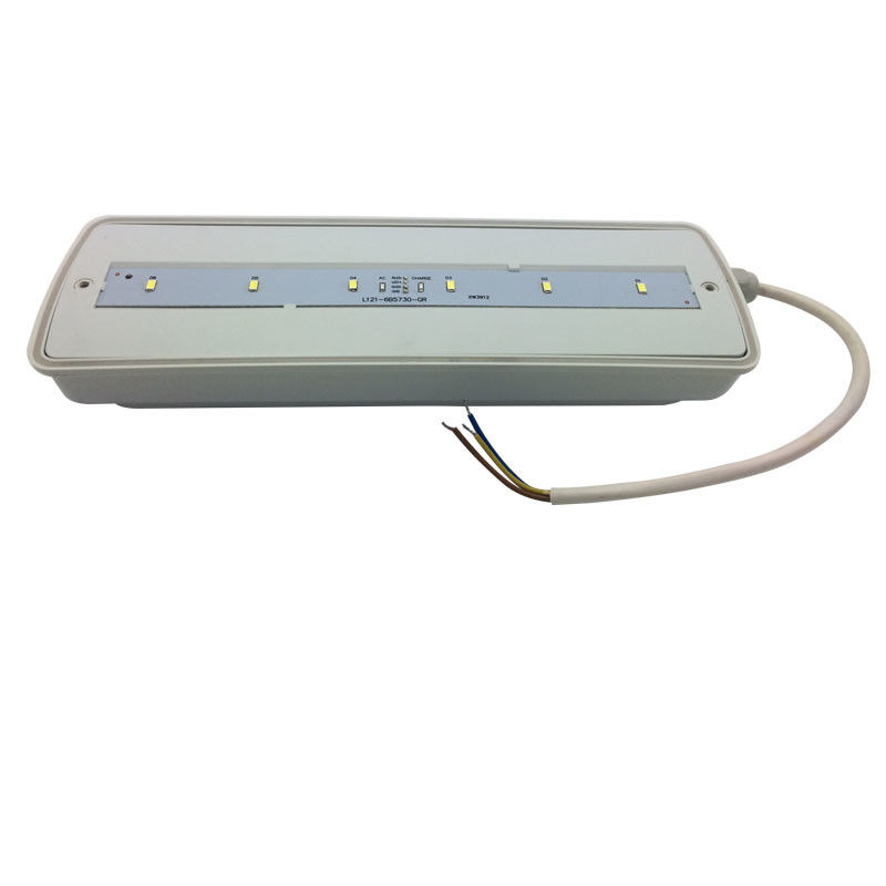 방수 비상등 충전식 IP65 플라스틱 Ni-Cd 배터리 백업 3시간 L116N-E
