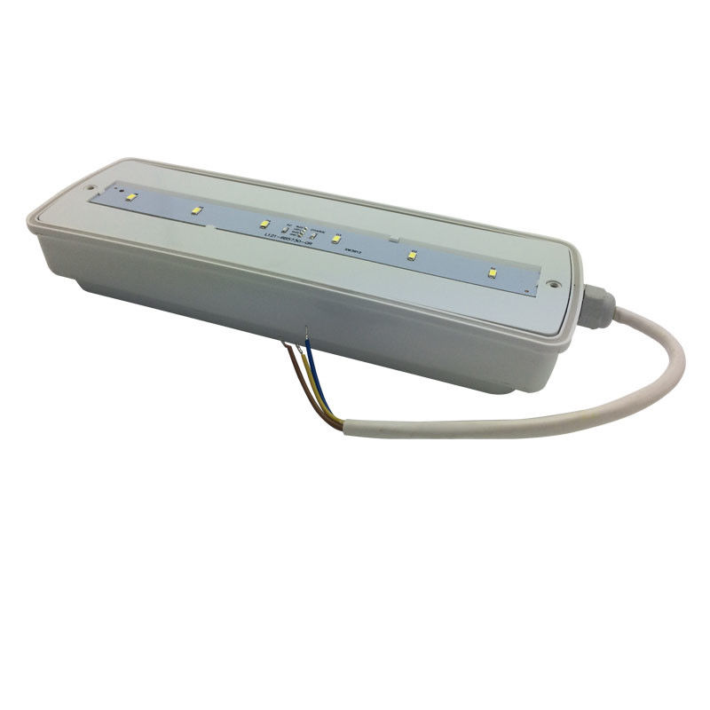 방수 비상등 충전식 IP65 플라스틱 Ni-Cd 배터리 백업 3시간 L116N-E