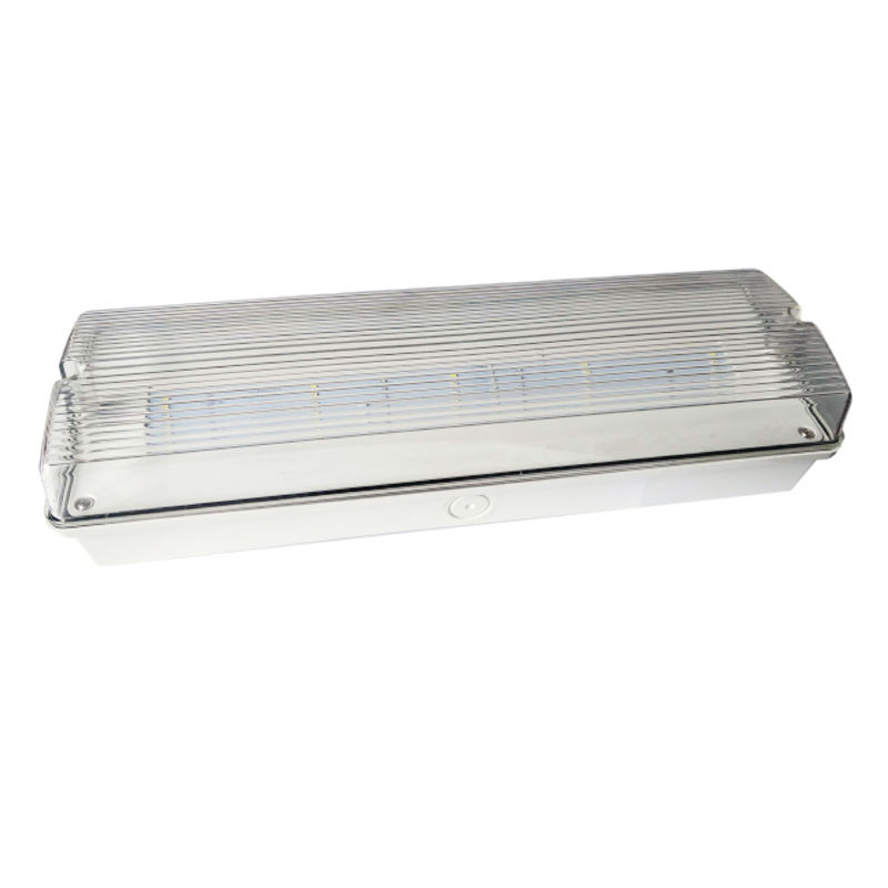 LED 방수 비상 조명 5W IP65 Ni Cd 배터리 백업 10pcs 5730 SMD 냉면 백색 조명