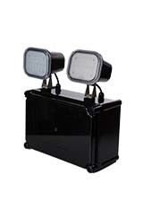 IP65 방수 2X4W 트윈 스팟 비상 조명 3 년 보증 및 트윈 헤드 LED 비상 조명