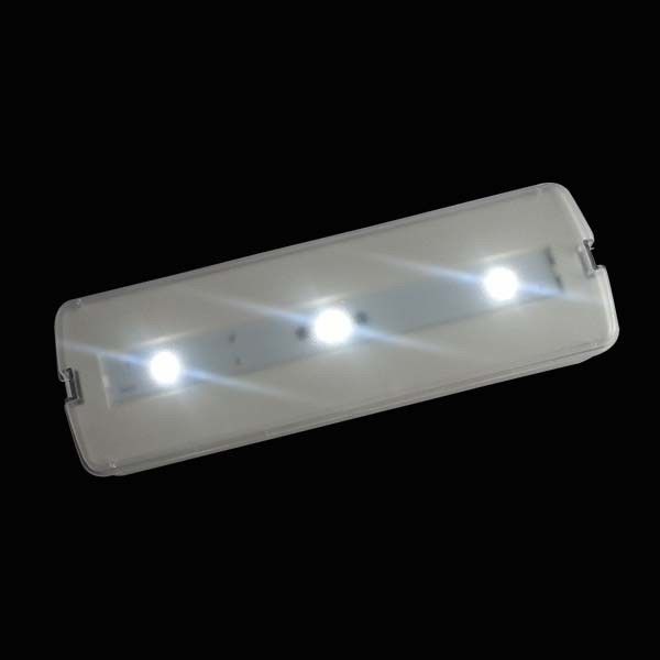 220V 충전식 LED 비상등 (배터리 백업 포함, CE 인증, 벽면 표면 장착) L116N-A1